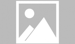 鱼2漫画,奇幻海洋的冒险之旅